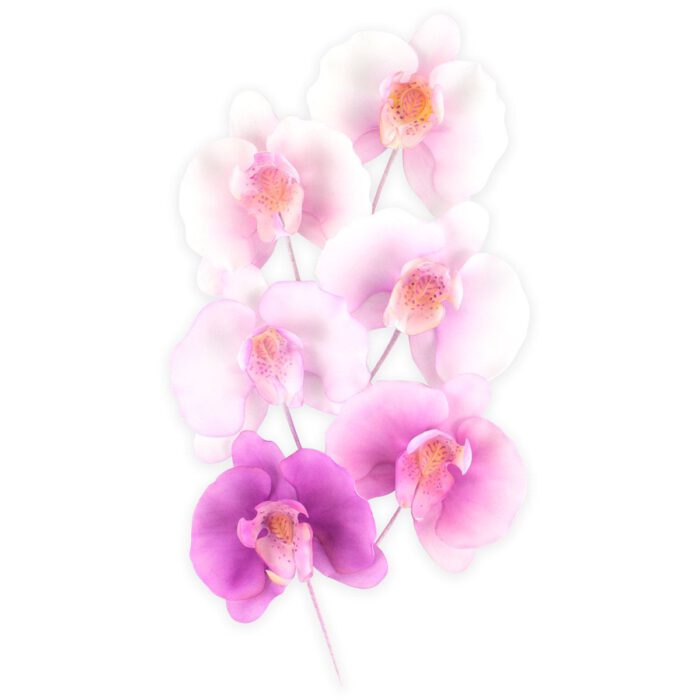 FMM Orchidee Uitsteker Set/3